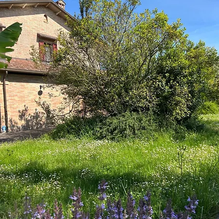 Agriturismo La Valle Dei Conti Cesena
